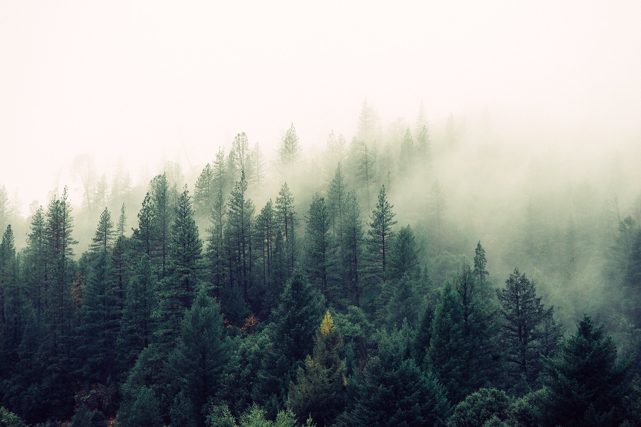 By providing green print alternatives, we strive to break down old systems